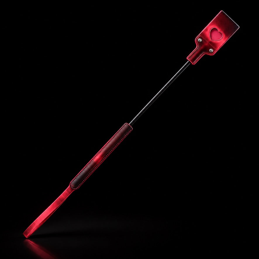 Temperature-Color Roleplay Paddle Set
