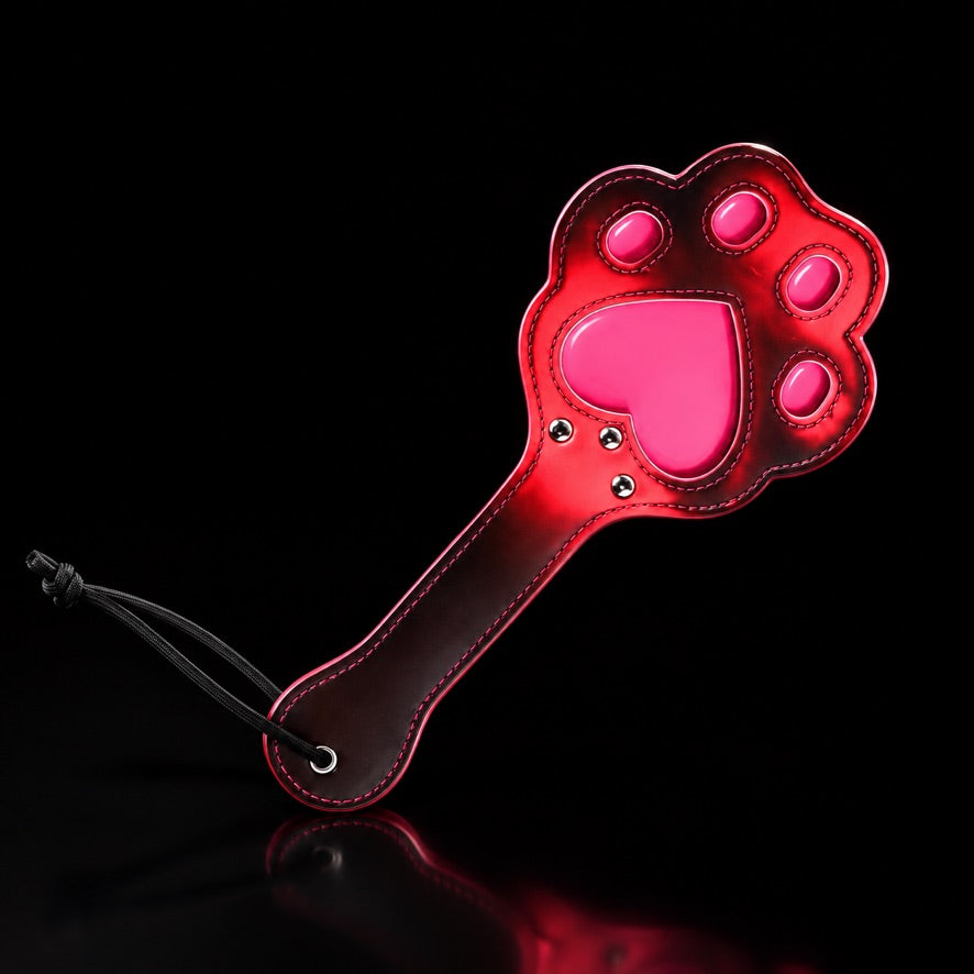 Temperature-Color Roleplay Paddle Set