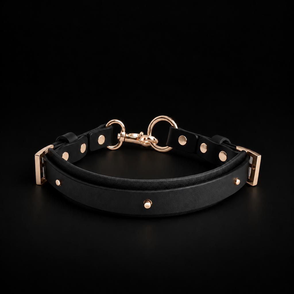 Adjustable Black Leather Choker Collar with Gold Hardware and Optional Leash