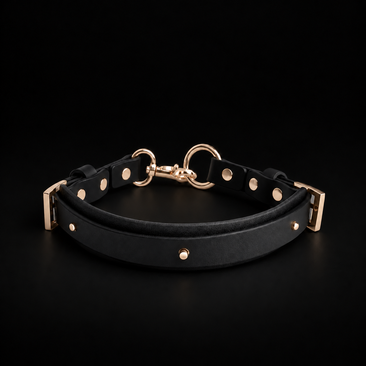Adjustable Black Leather Choker Collar with Gold Hardware and Optional Leash